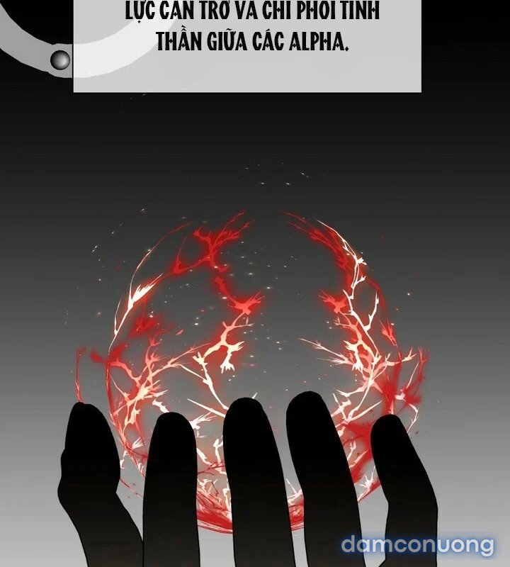 [18+] Em Sẽ Chọn Alpha Nào~ 