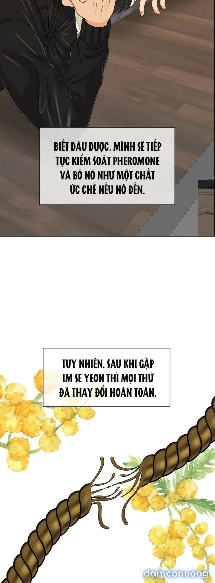 [18+] Em Sẽ Chọn Alpha Nào~ 