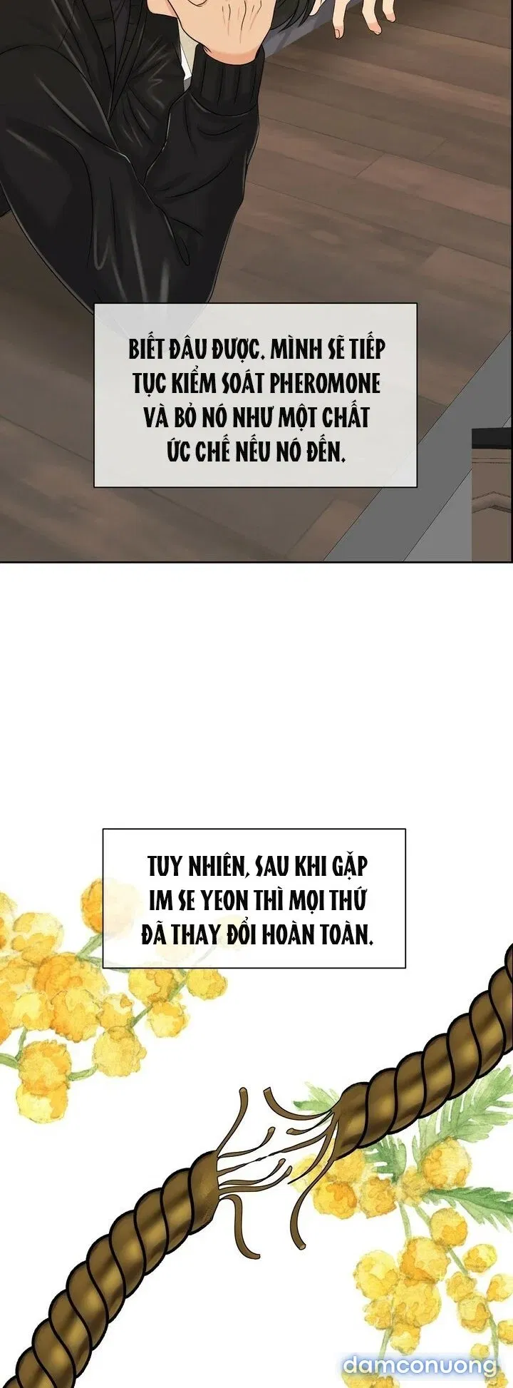 [18+] Em Sẽ Chọn Alpha Nào~ 