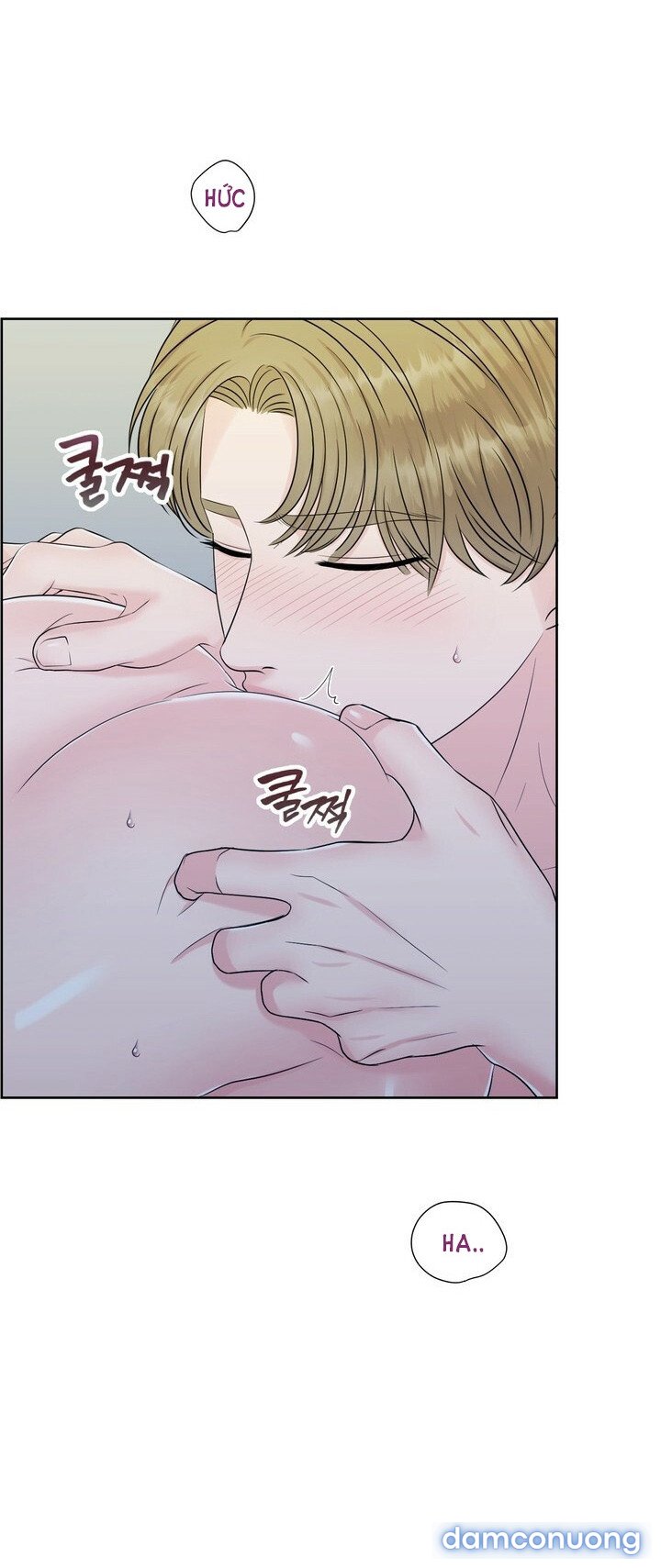 [18+] Em Sẽ Chọn Alpha Nào~ 