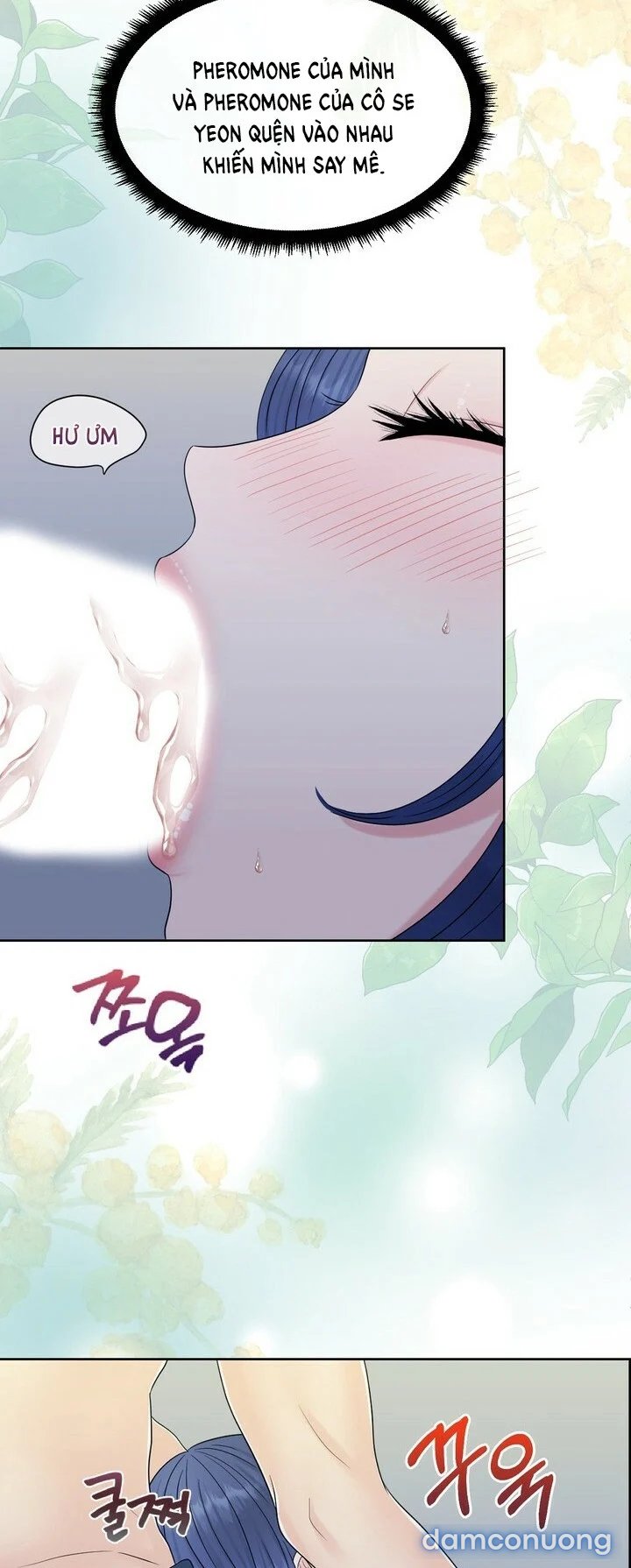 [18+] Em Sẽ Chọn Alpha Nào~ 