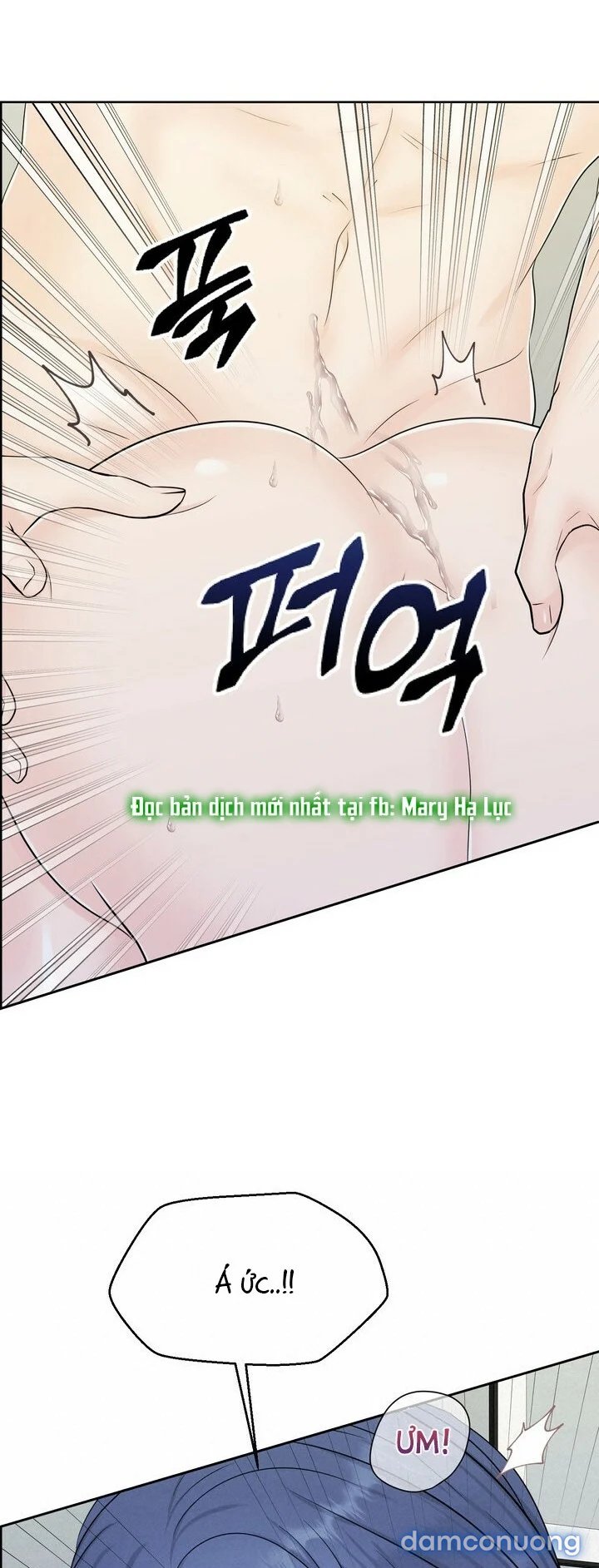 [18+] Em Sẽ Chọn Alpha Nào~ 