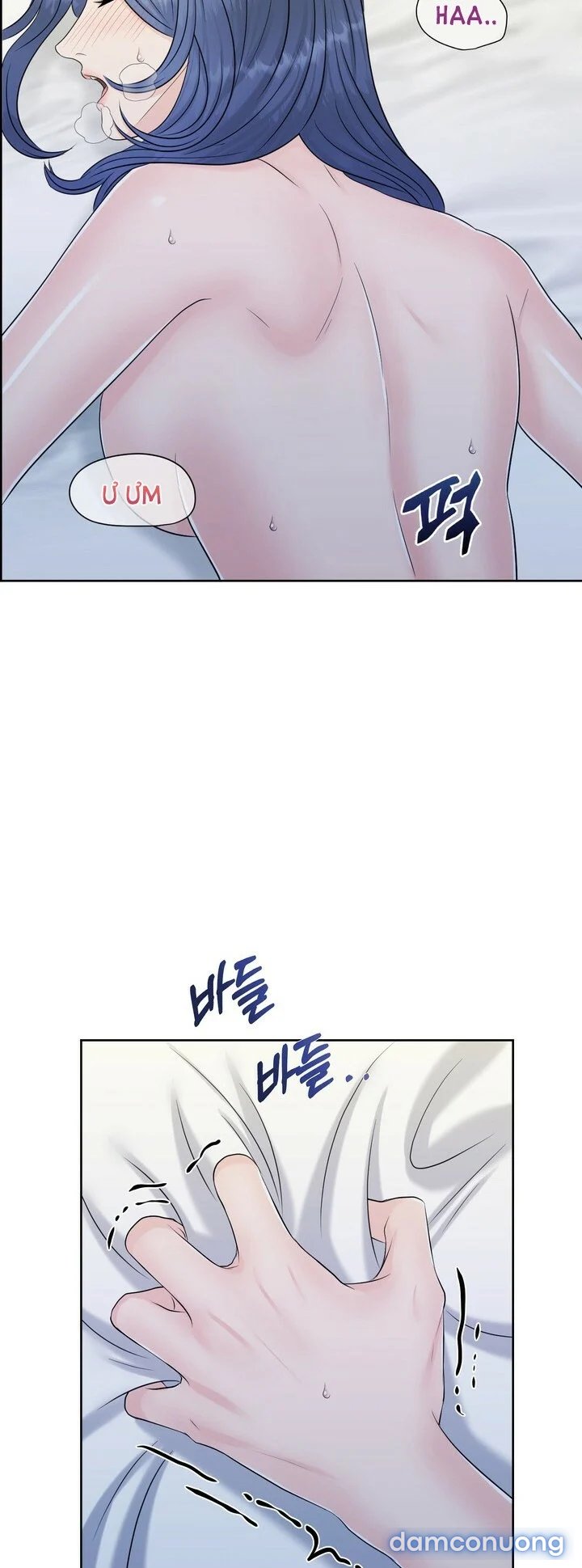 [18+] Em Sẽ Chọn Alpha Nào~ 