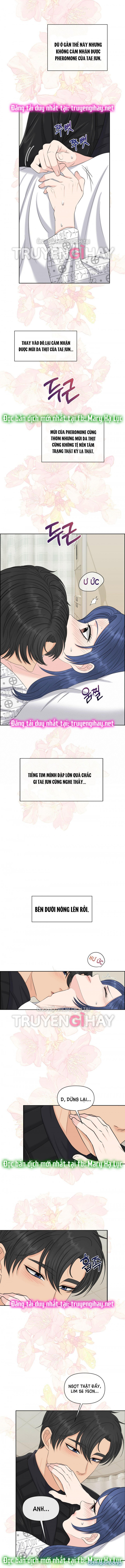 [18+] Em Sẽ Chọn Alpha Nào~ 