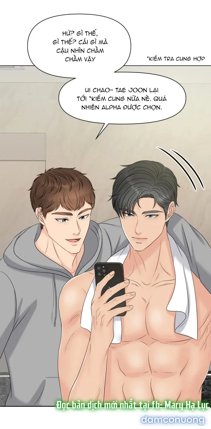 [18+] Em Sẽ Chọn Alpha Nào~ 
