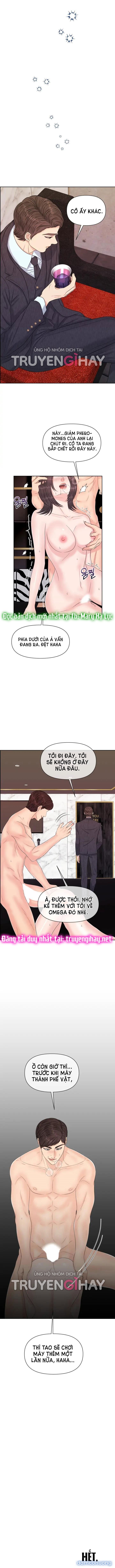 [18+] Em Sẽ Chọn Alpha Nào~ 
