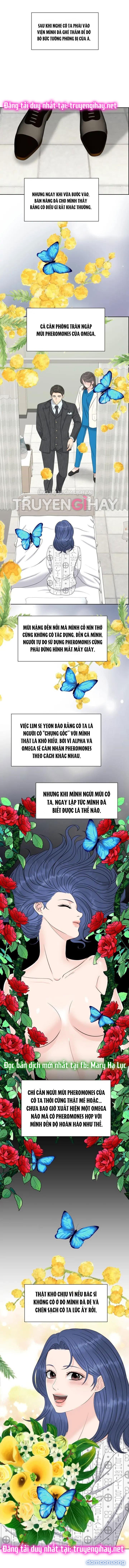 [18+] Em Sẽ Chọn Alpha Nào~ 