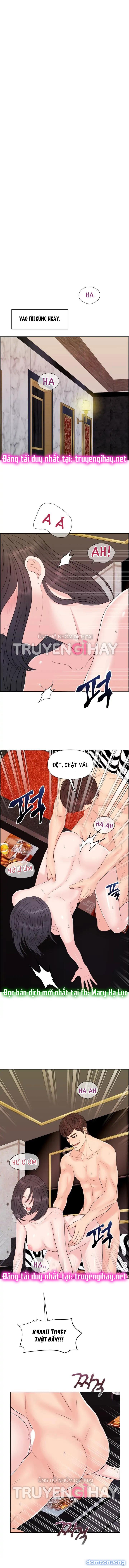 [18+] Em Sẽ Chọn Alpha Nào~ 