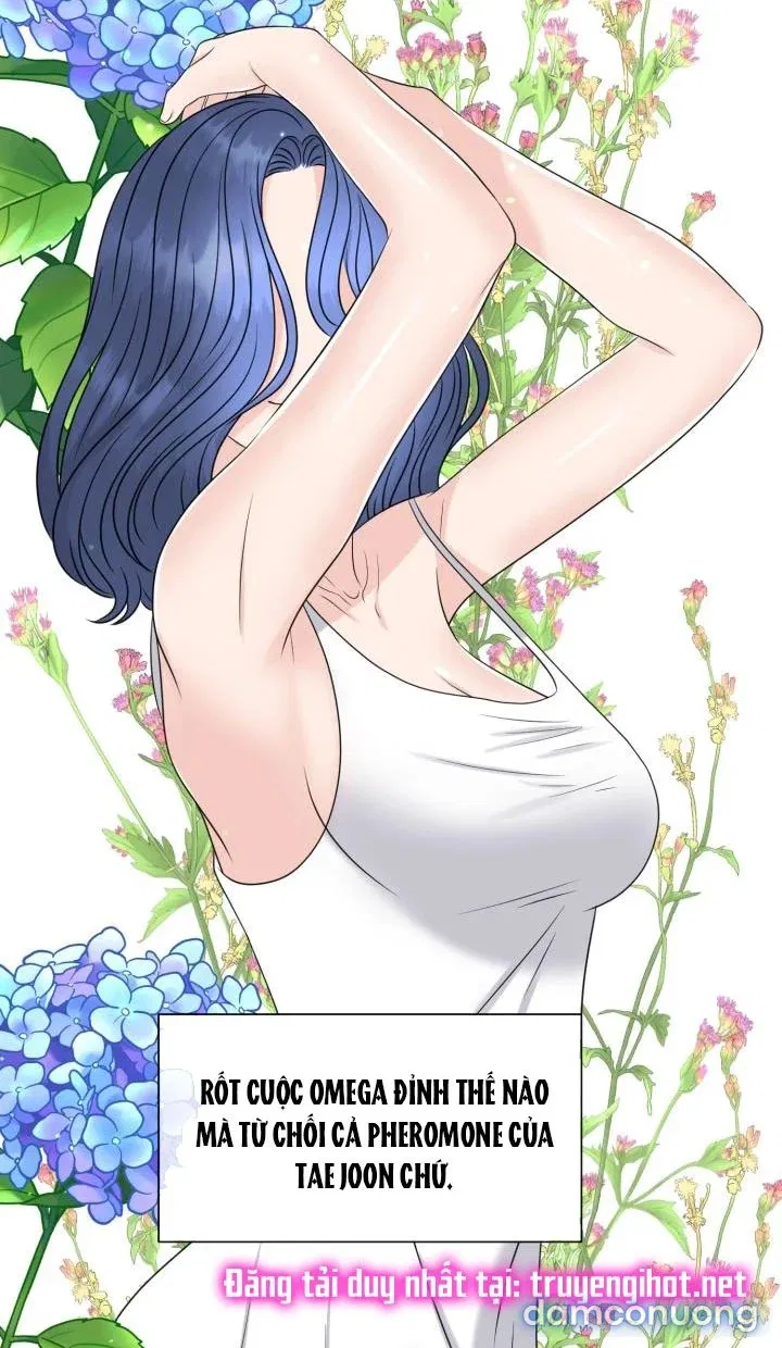 [18+] Em Sẽ Chọn Alpha Nào~ 