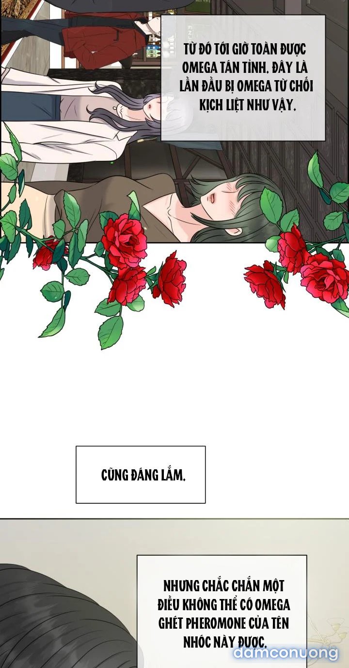 [18+] Em Sẽ Chọn Alpha Nào~ 