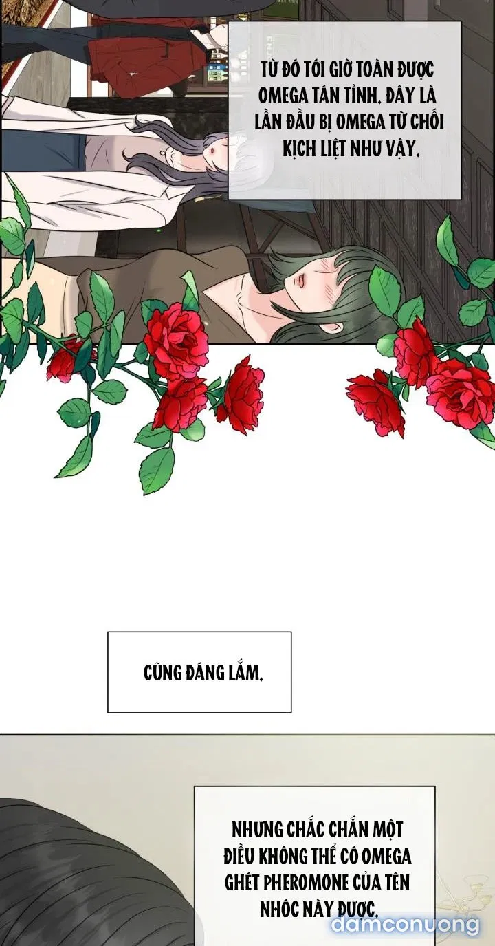 [18+] Em Sẽ Chọn Alpha Nào~ 