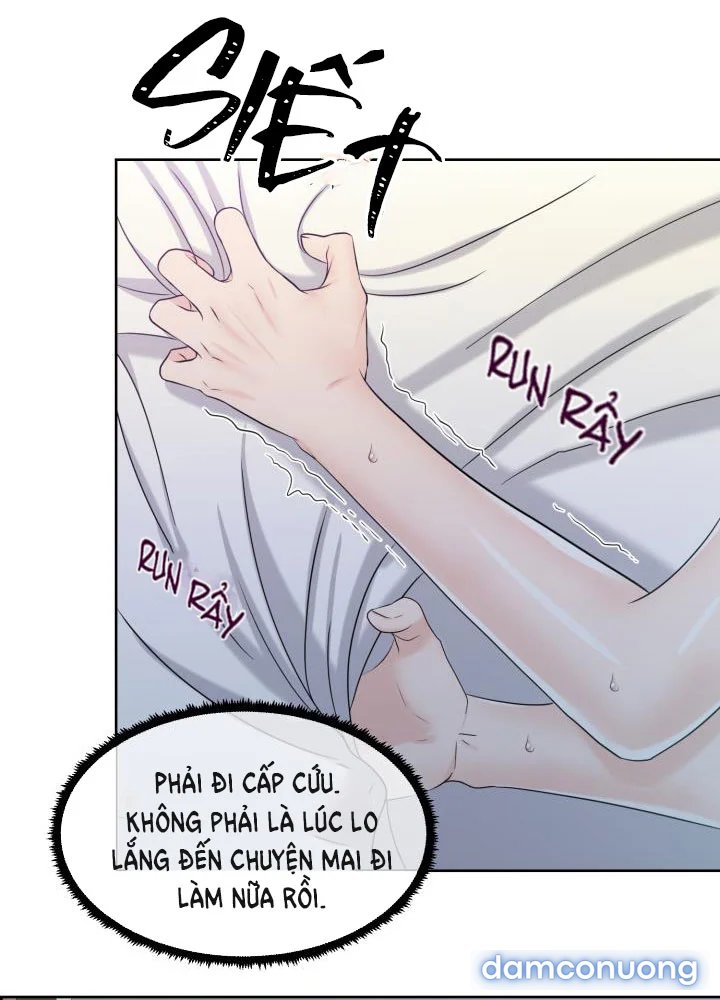 [18+] Em Sẽ Chọn Alpha Nào~ 