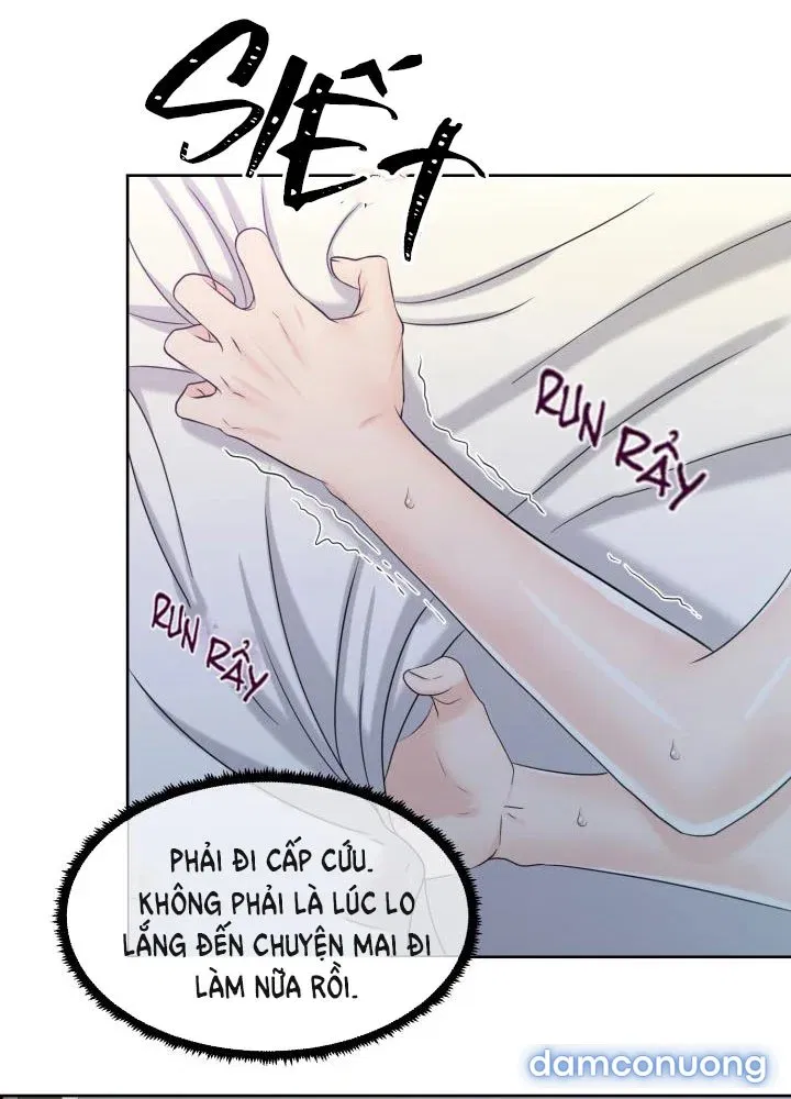 [18+] Em Sẽ Chọn Alpha Nào~ 