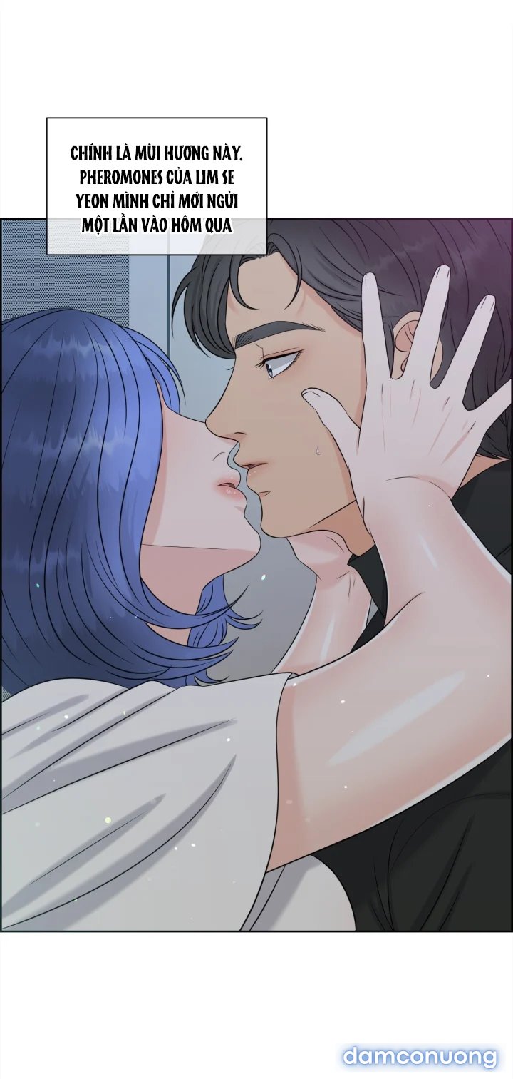 [18+] Em Sẽ Chọn Alpha Nào~ 