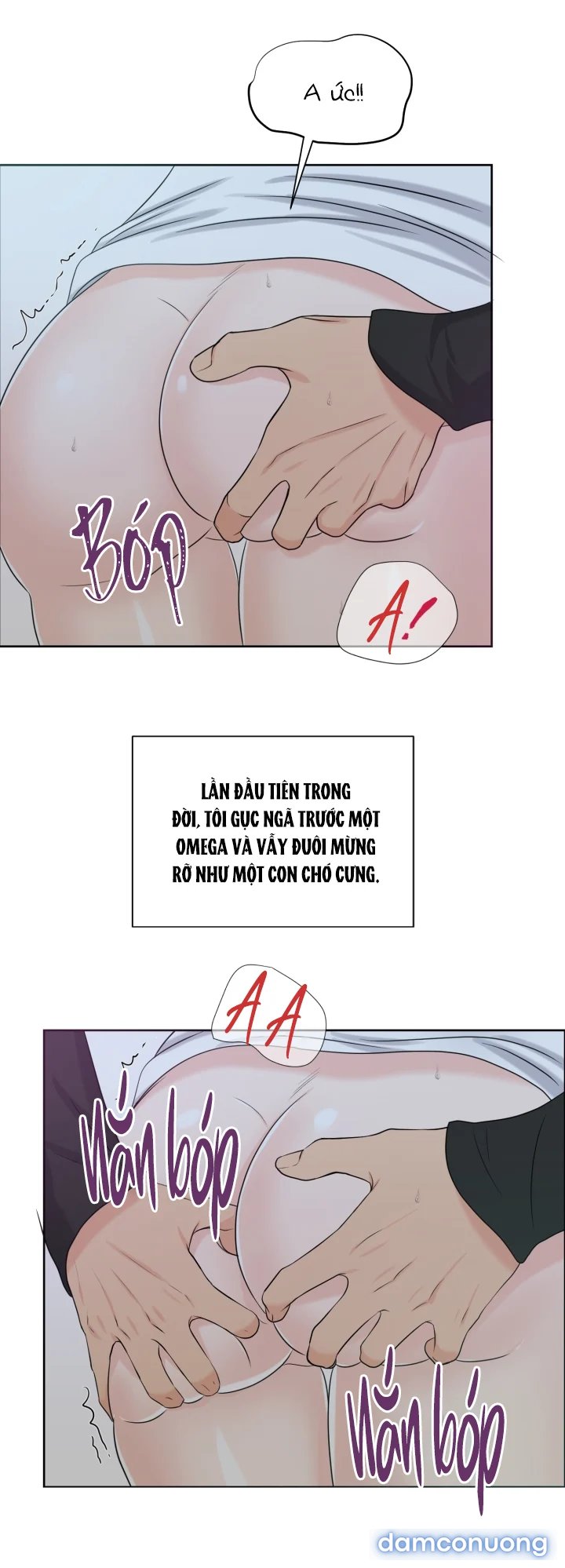 [18+] Em Sẽ Chọn Alpha Nào~ 