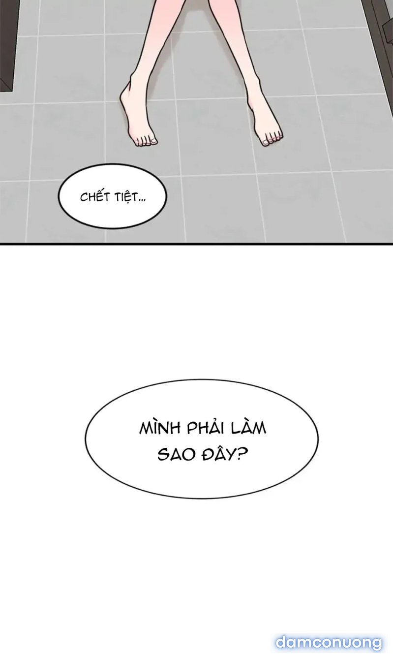 Nghệ Sĩ Cello 