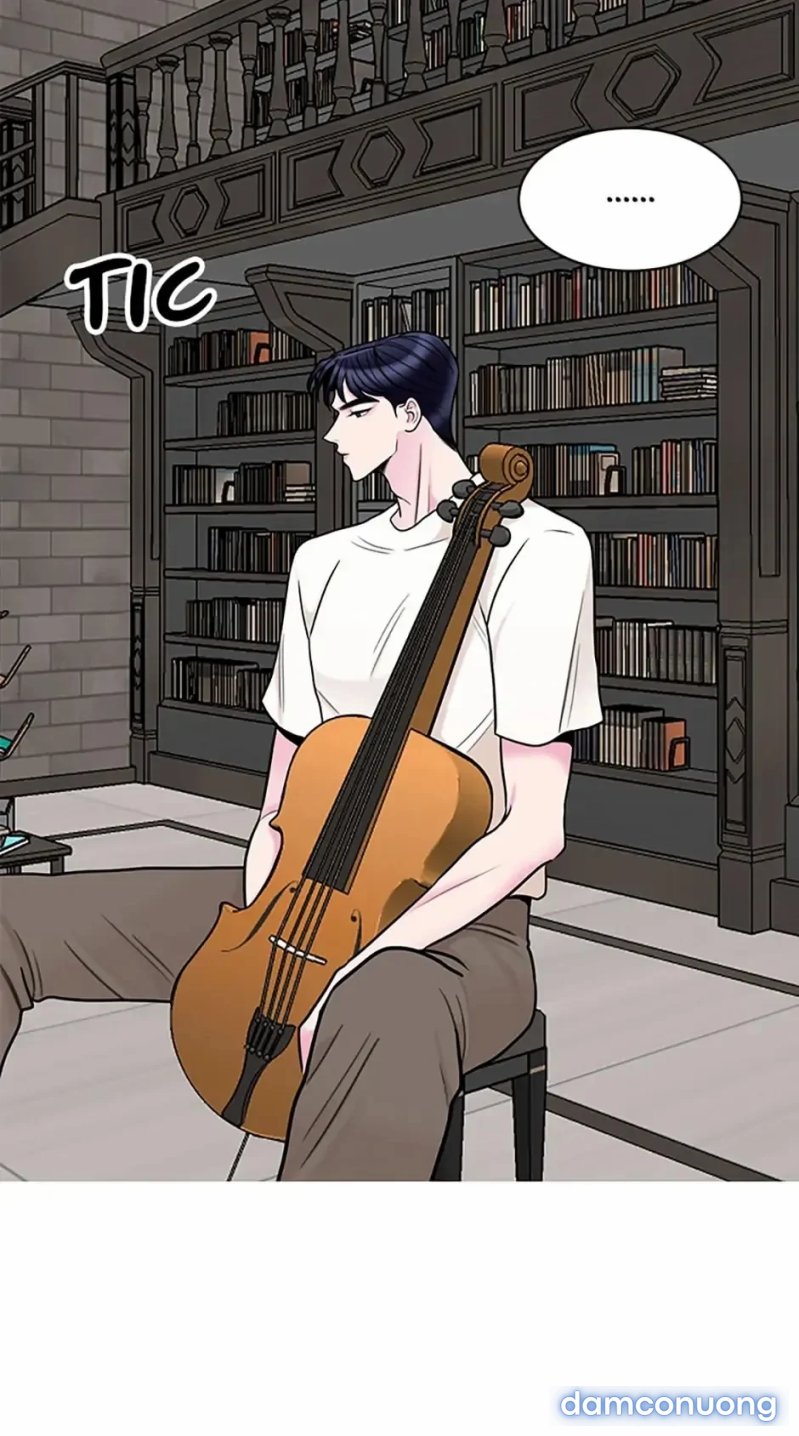 Nghệ Sĩ Cello 