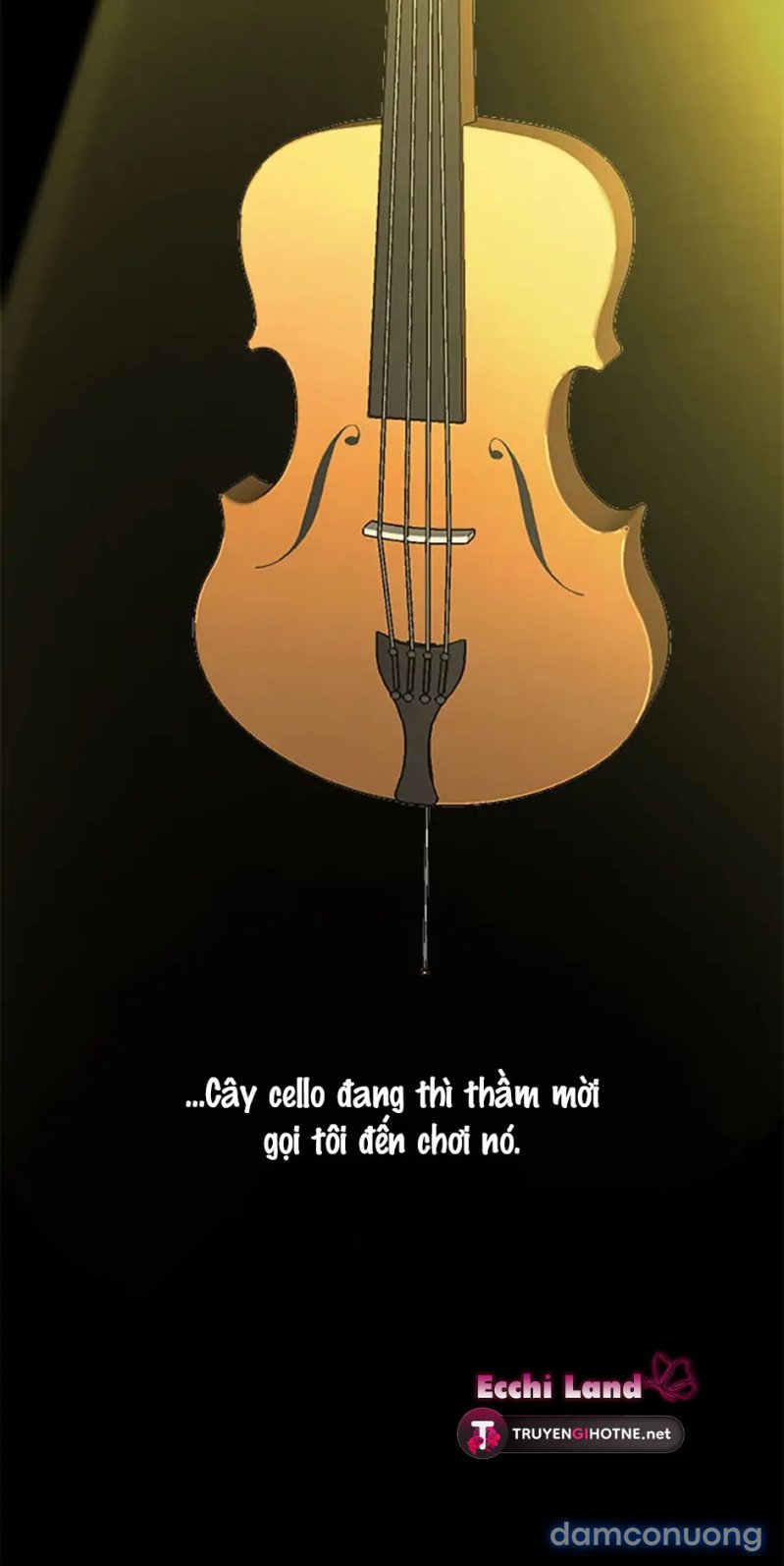 Nghệ Sĩ Cello 