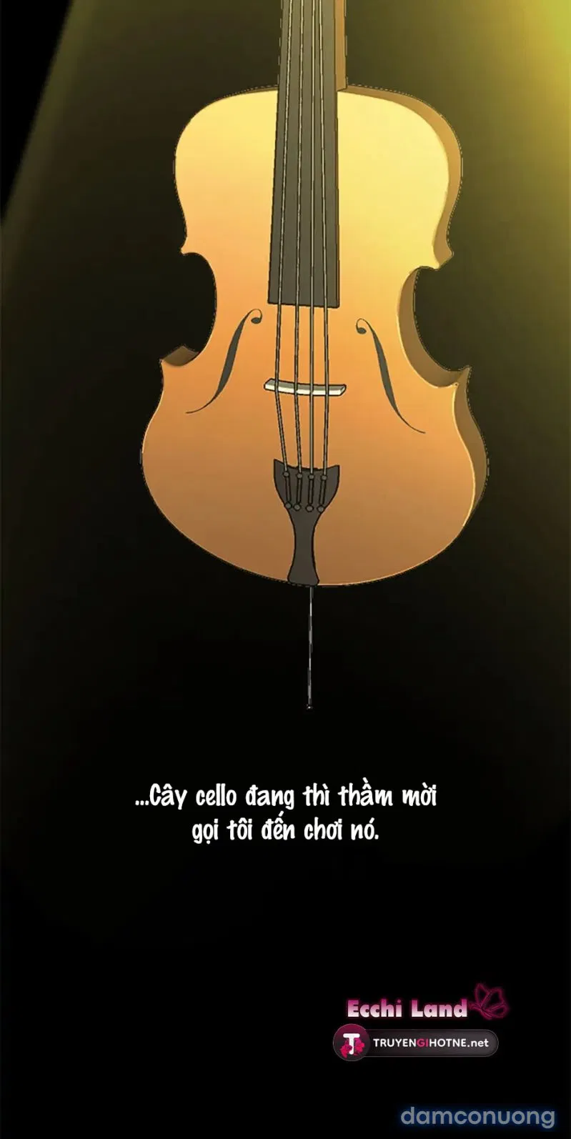 Nghệ Sĩ Cello 