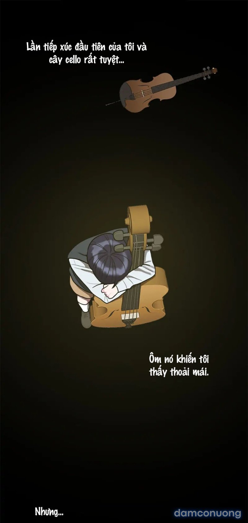 Nghệ Sĩ Cello 