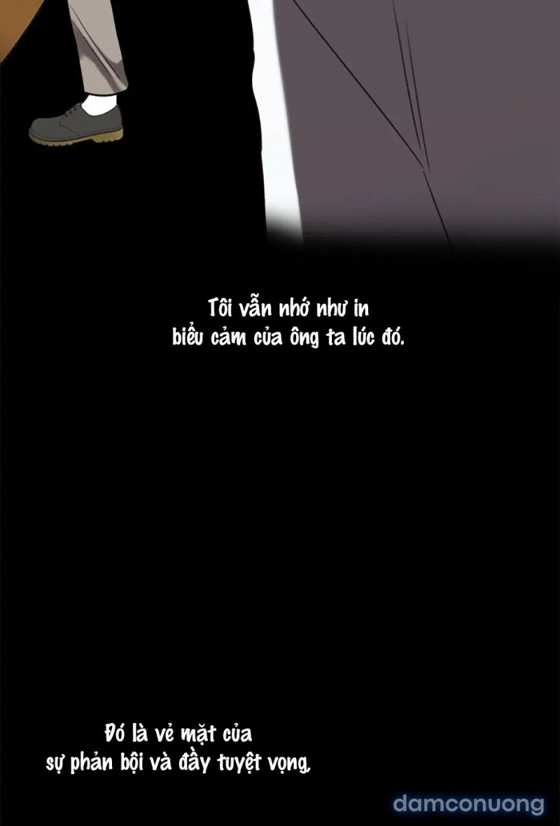 Nghệ Sĩ Cello 