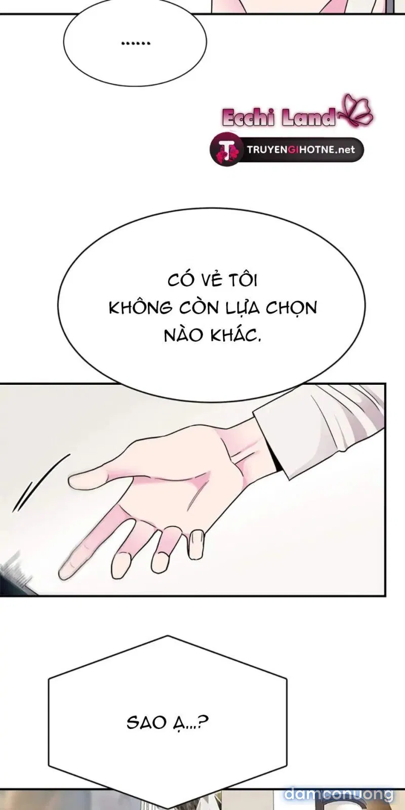 Nghệ Sĩ Cello 