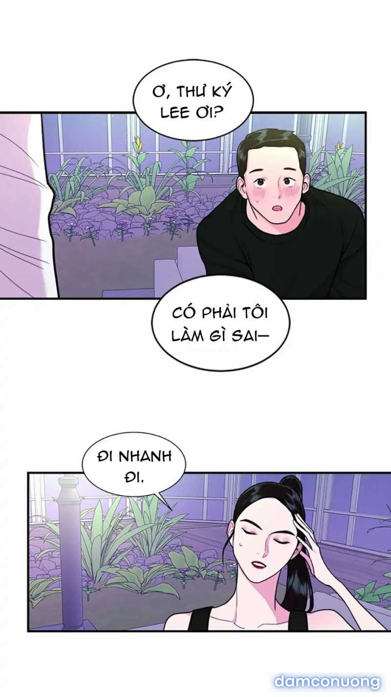 Nghệ Sĩ Cello 