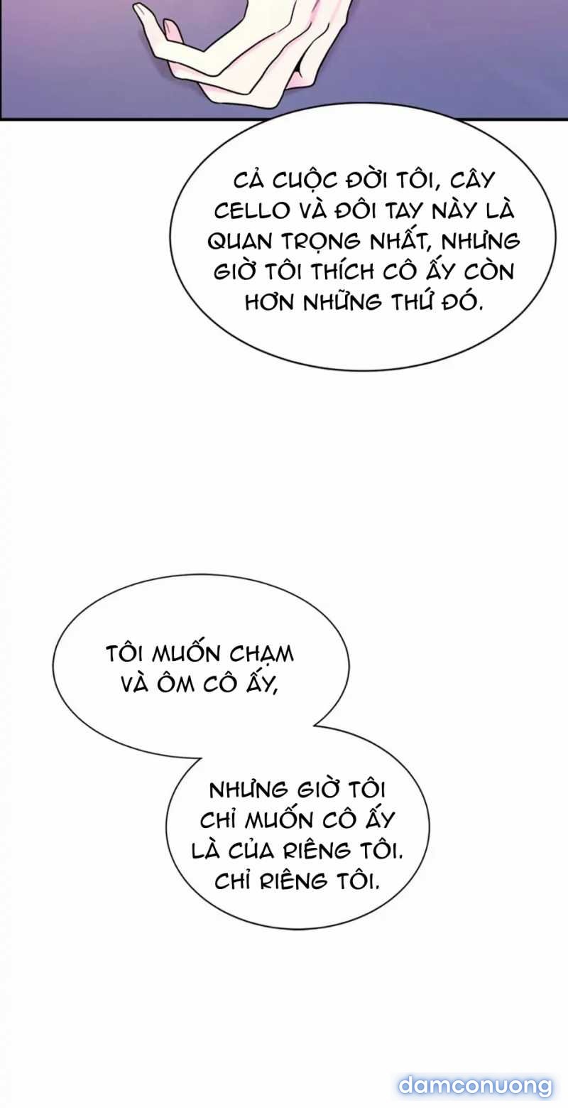 Nghệ Sĩ Cello 