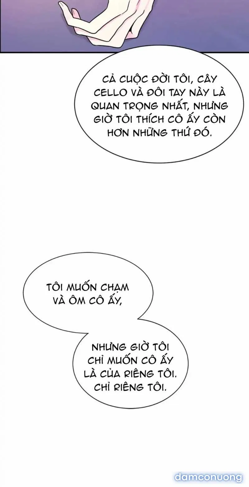 Nghệ Sĩ Cello 