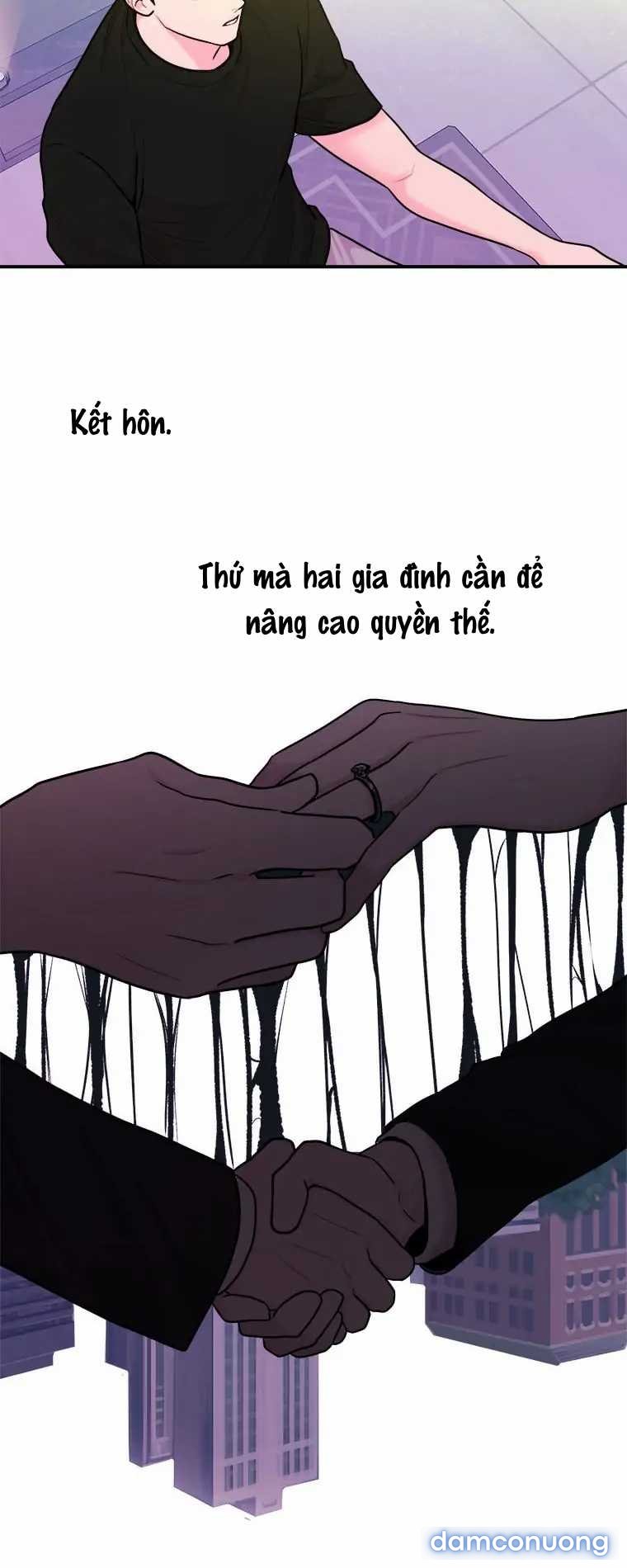 Nghệ Sĩ Cello 