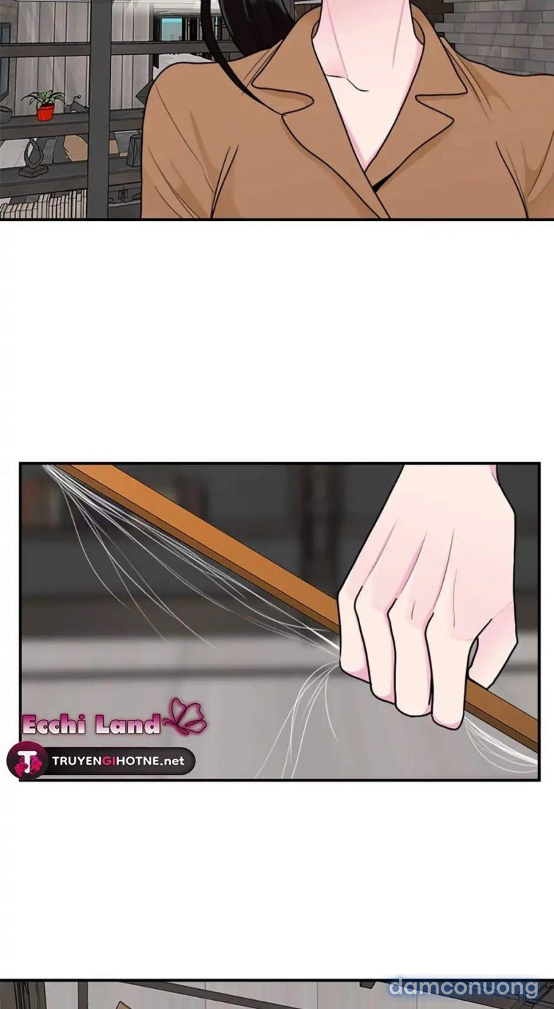 Nghệ Sĩ Cello 