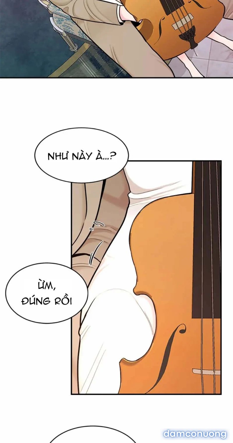 Nghệ Sĩ Cello 