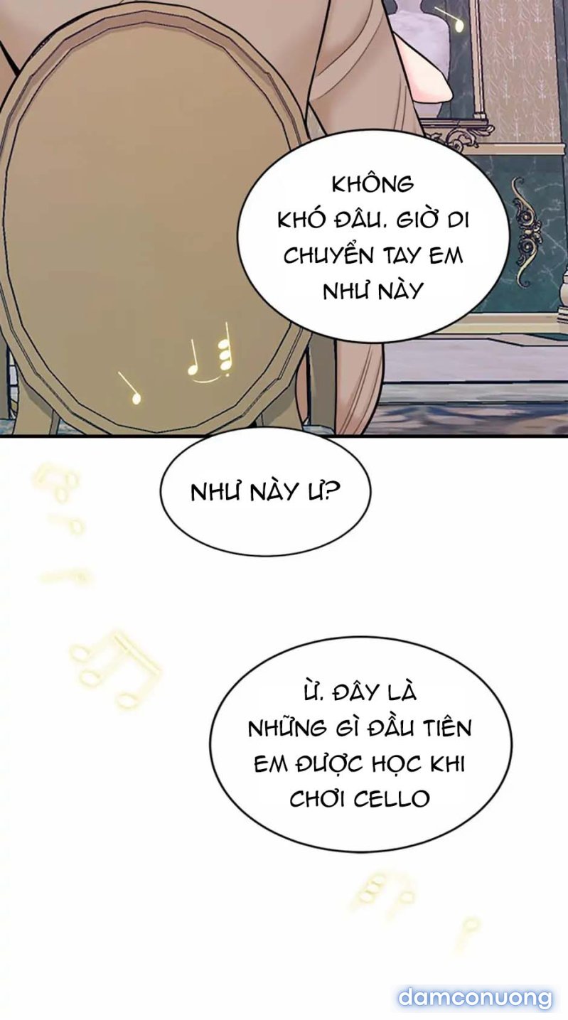 Nghệ Sĩ Cello 