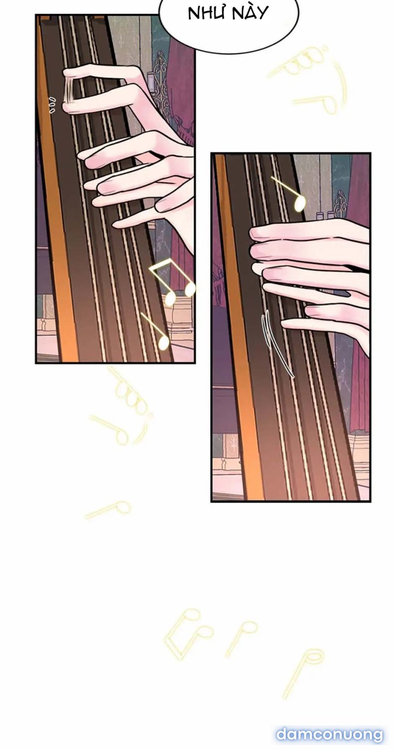 Nghệ Sĩ Cello 