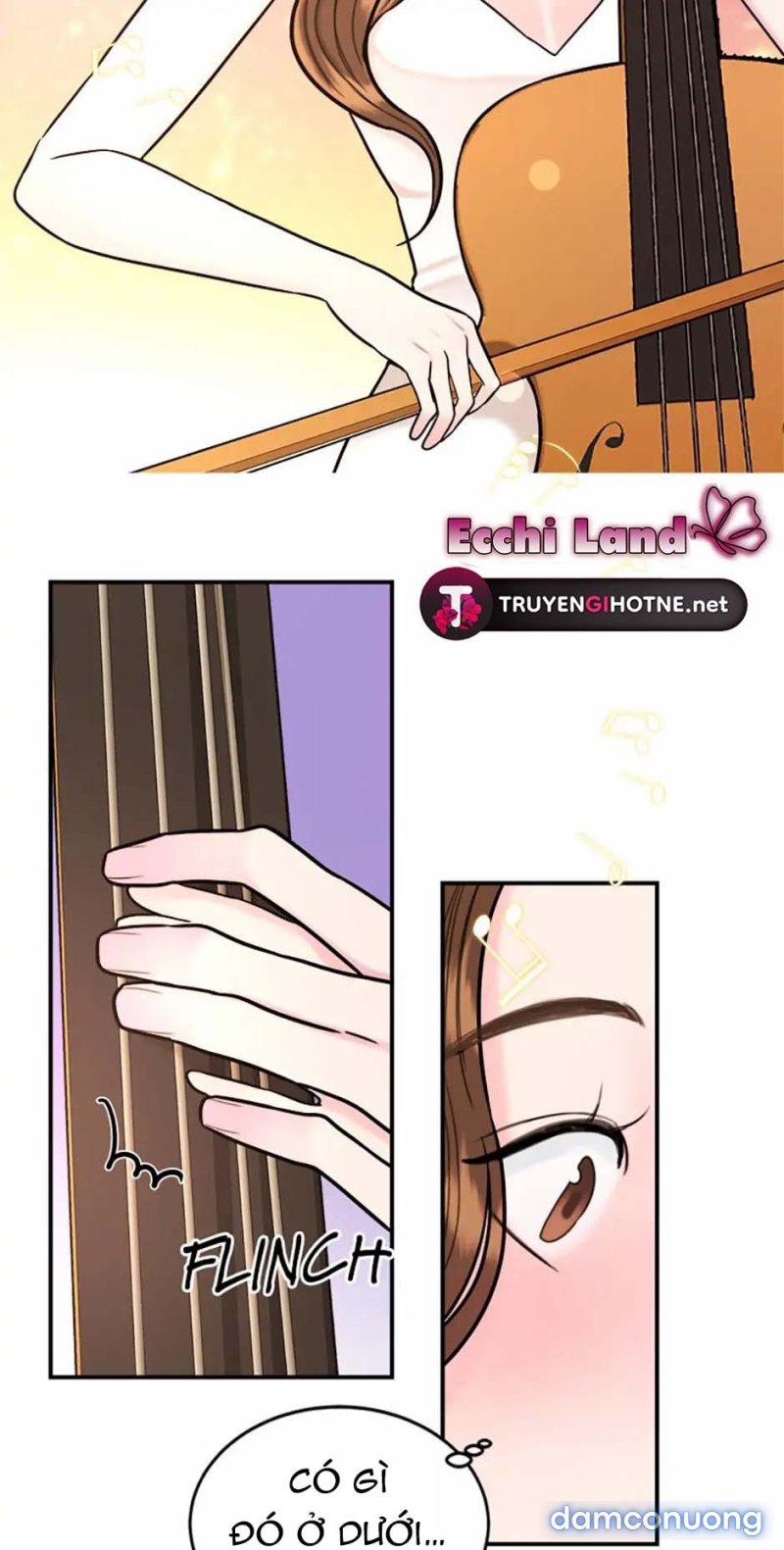Nghệ Sĩ Cello 