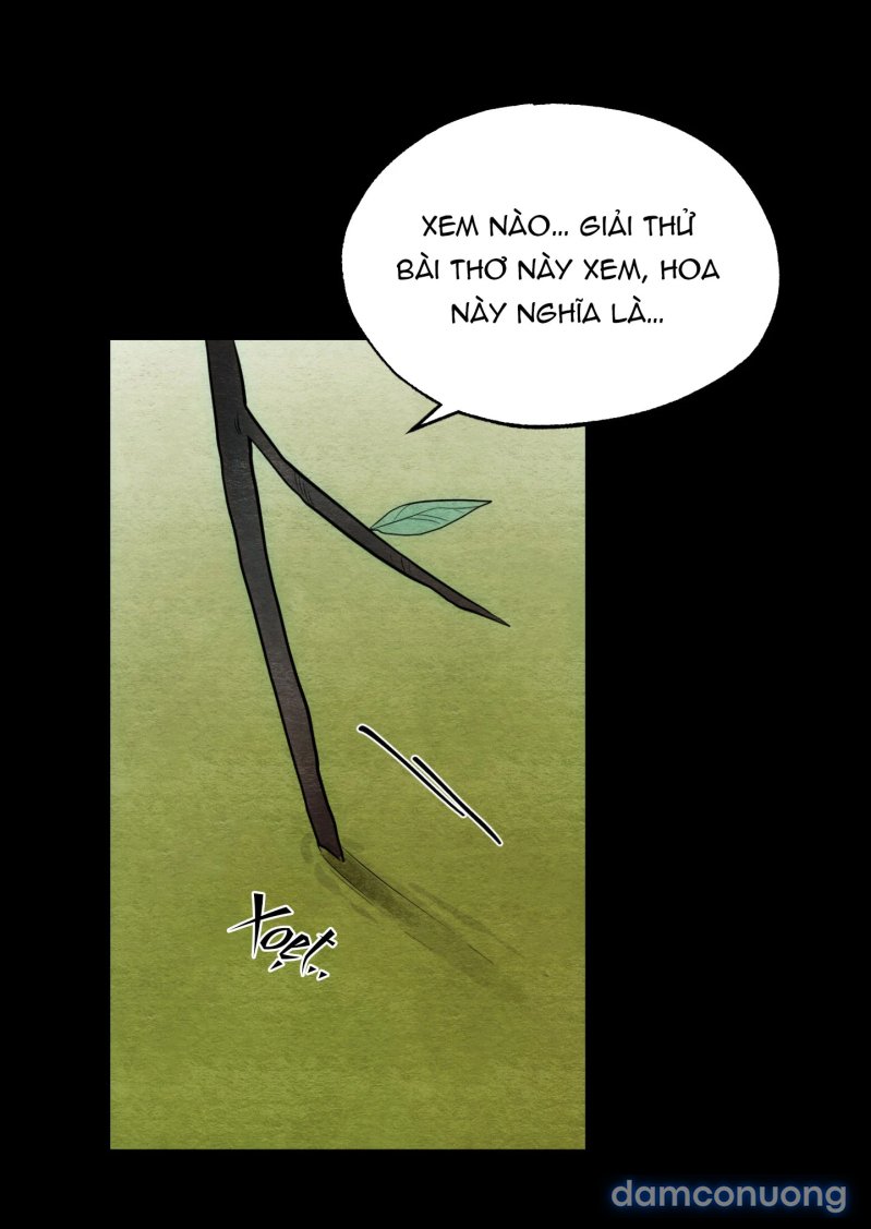 Cuồng Nhãn 