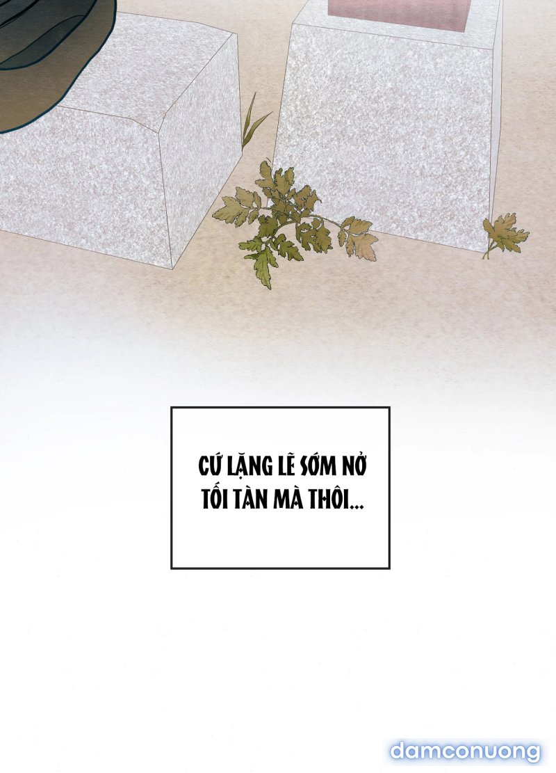 Cuồng Nhãn 
