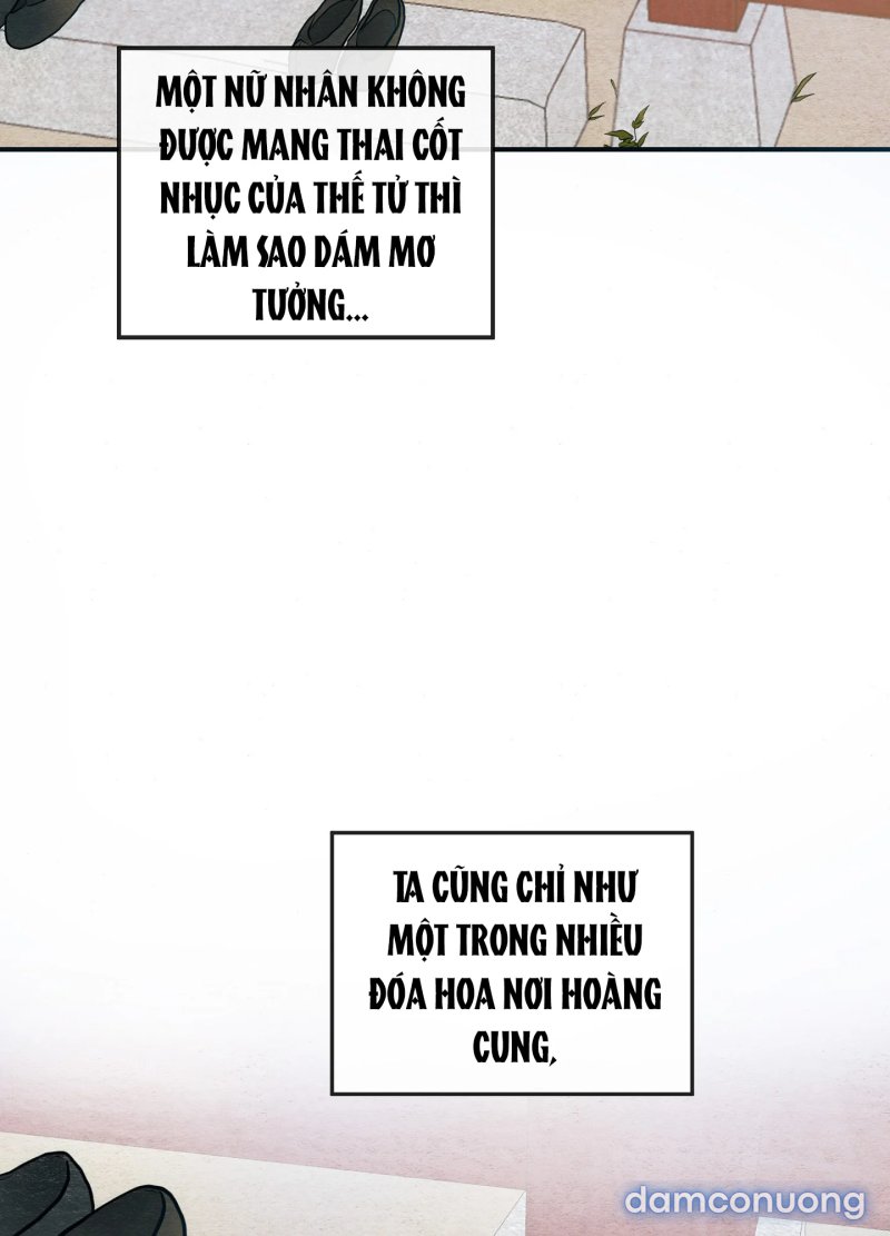 Cuồng Nhãn 