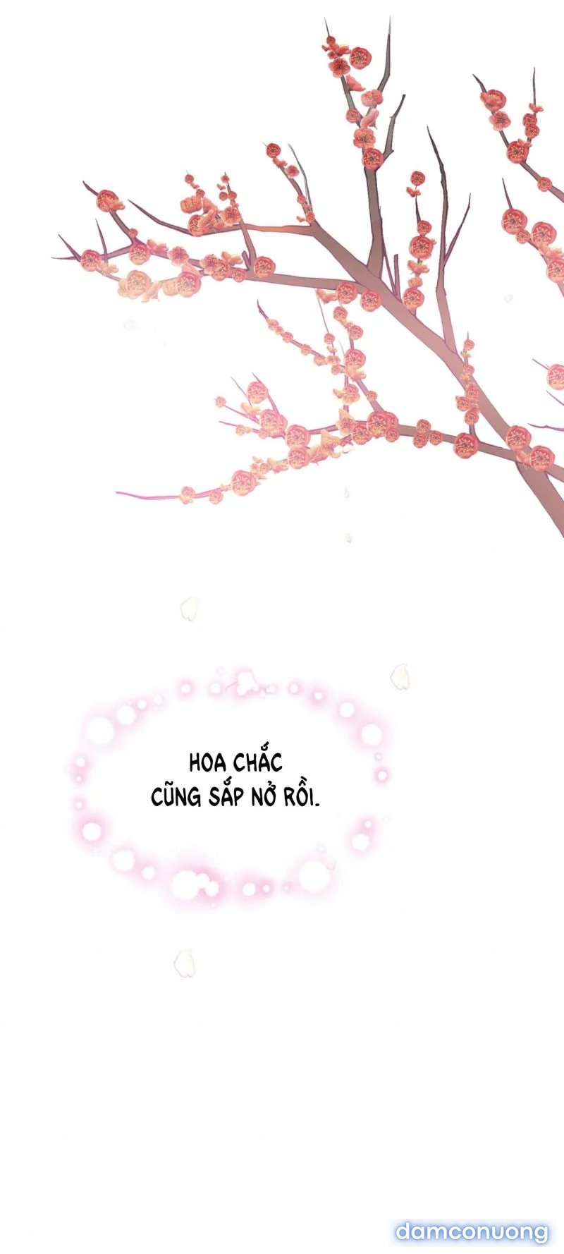 Cuồng Nhãn 