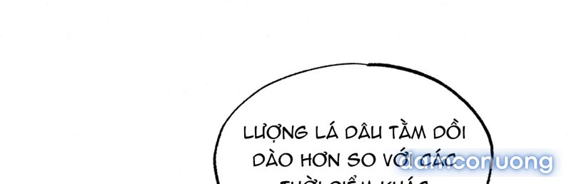 Cuồng Nhãn 