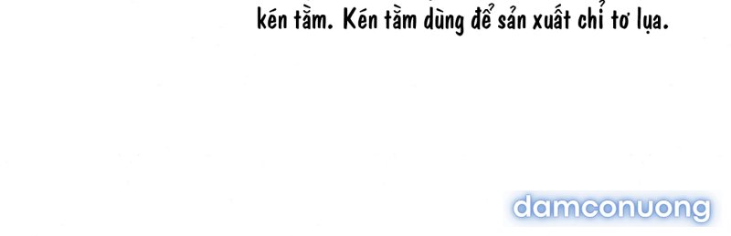 Cuồng Nhãn 