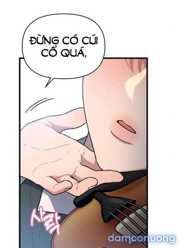 [18+] Dục Vọng Tao Nhã 