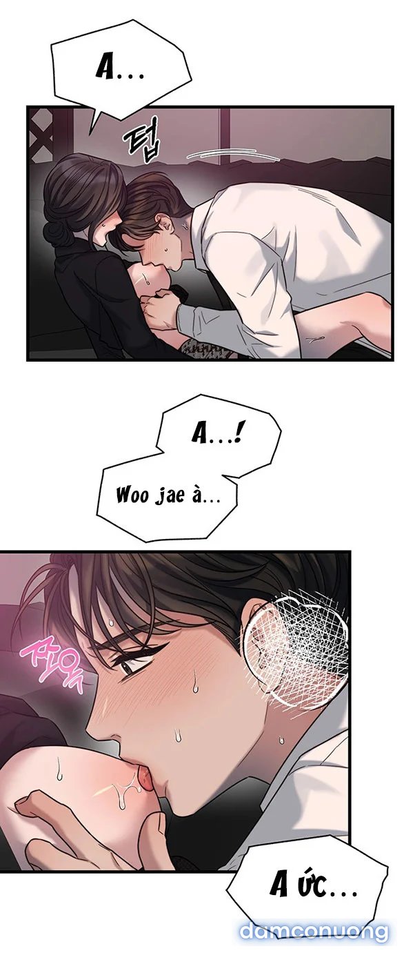 [18+] Dục Vọng Tao Nhã 
