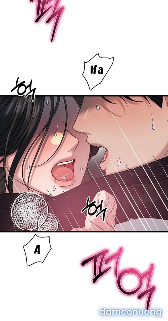 [18+] Dục Vọng Tao Nhã 