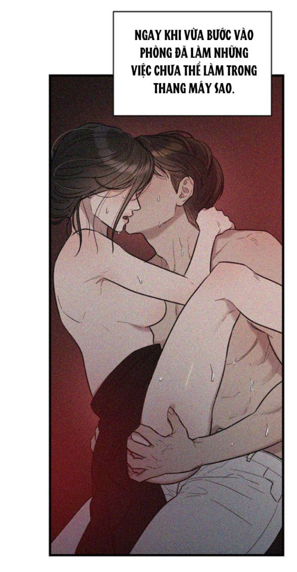 [18+] Dục Vọng Tao Nhã 