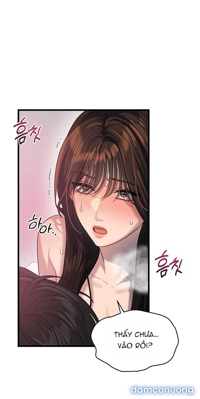 [18+] Dục Vọng Tao Nhã 