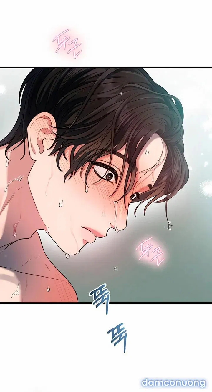 [18+] Dục Vọng Tao Nhã 