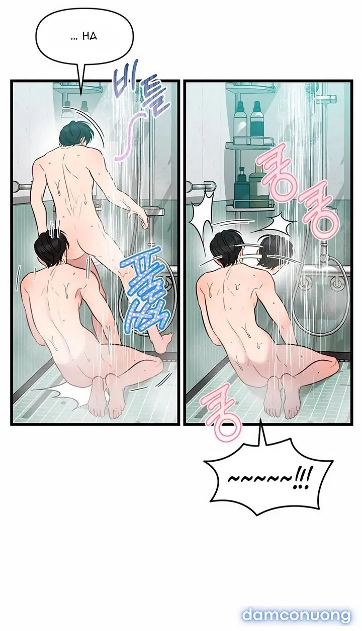 [18+] Dục Vọng Tao Nhã 