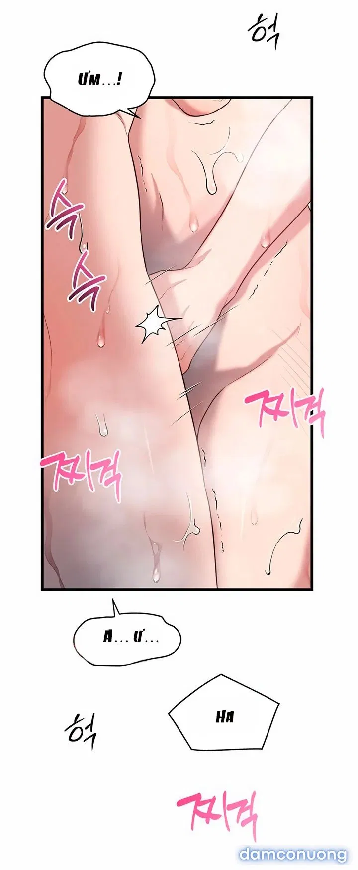 [18+] Dục Vọng Tao Nhã 