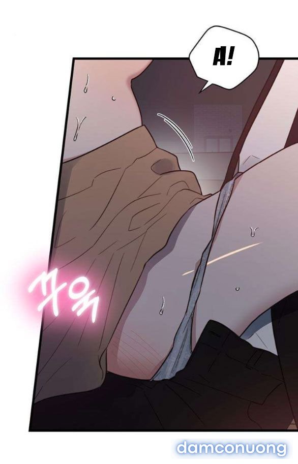 [18+] Dục Vọng Tao Nhã 